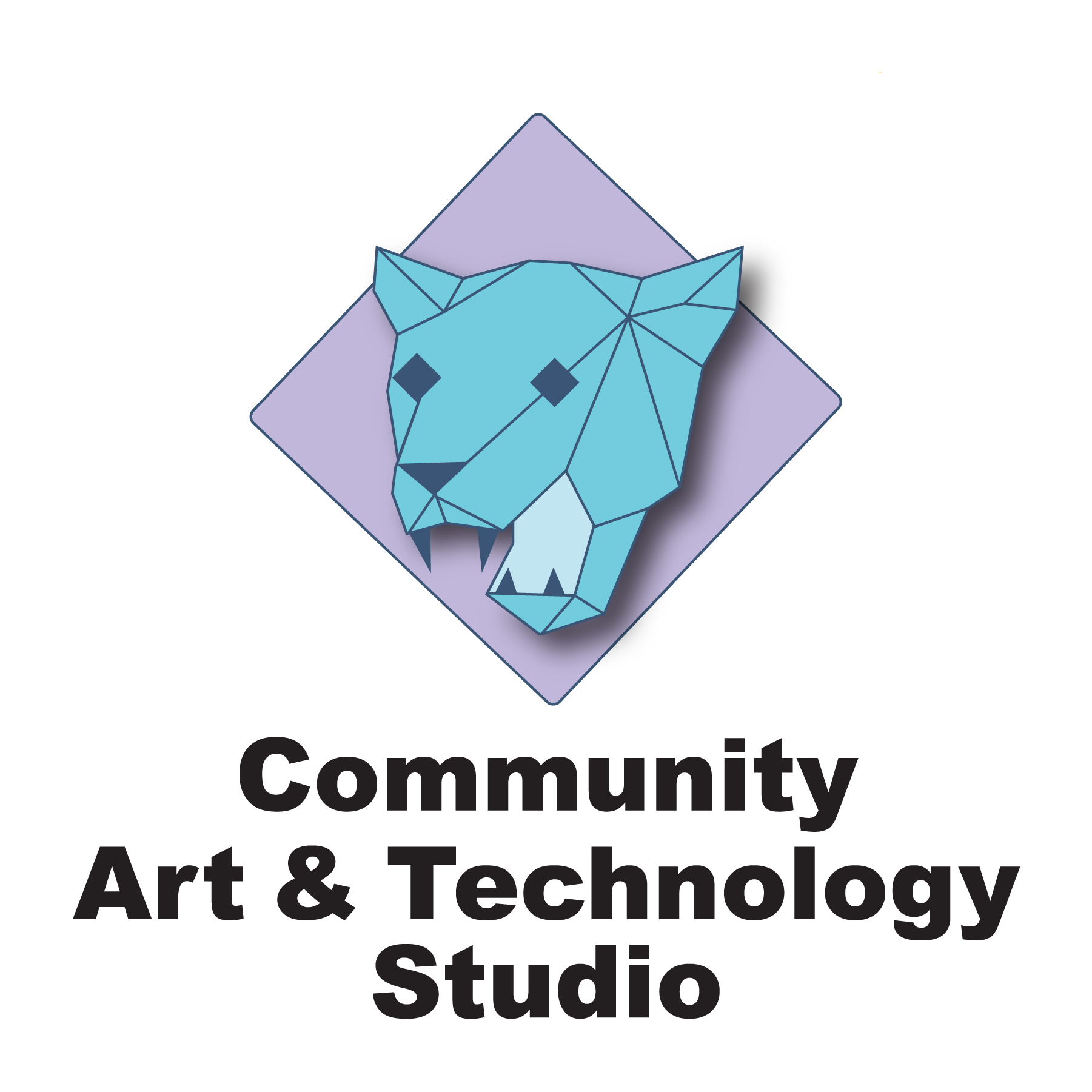 Community Art & Technology Studio