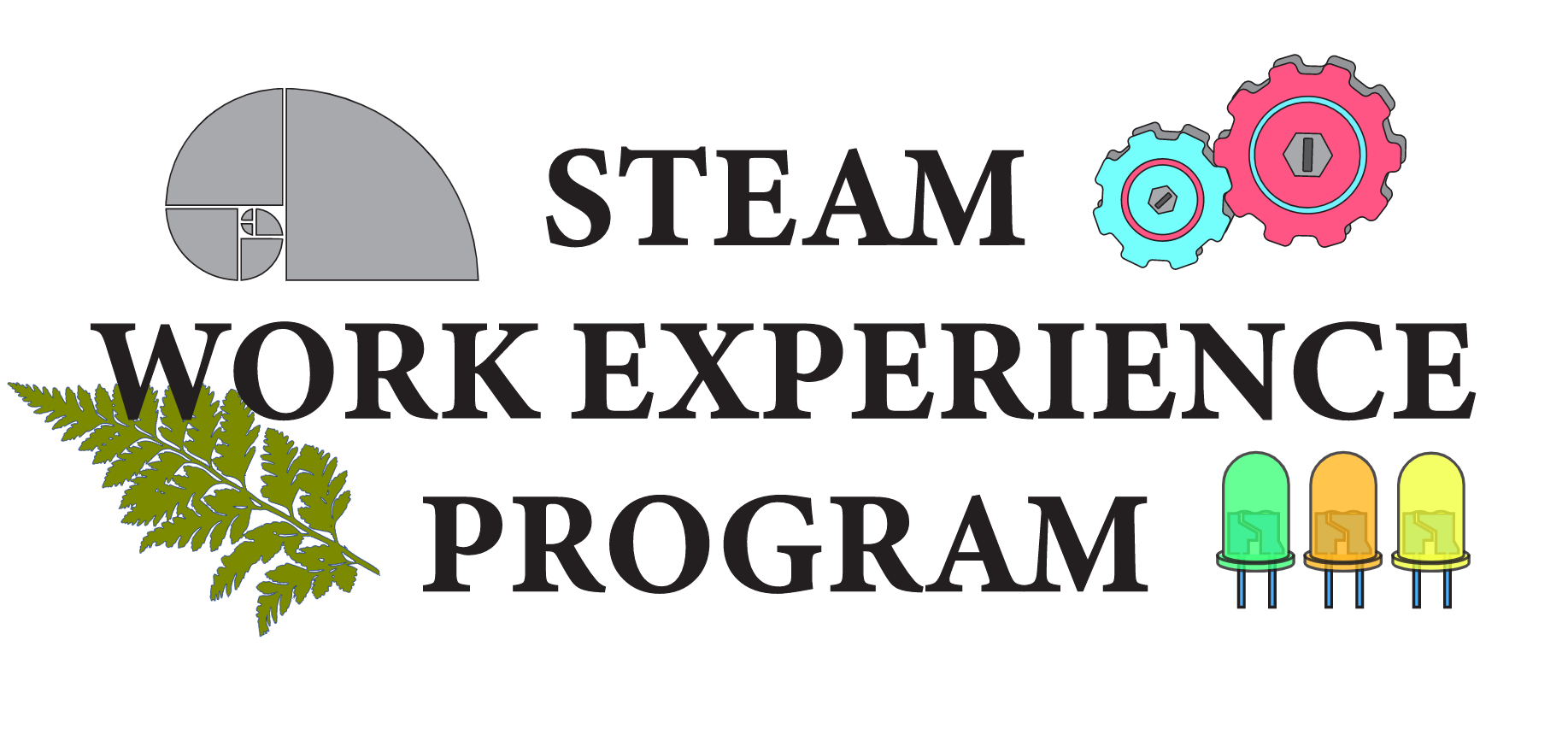 STEAM Work Experience Program